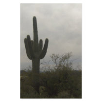 Cactus picture stationery