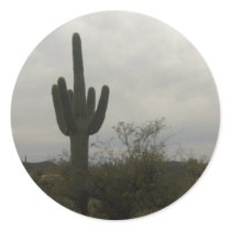 Cactus picture stickers