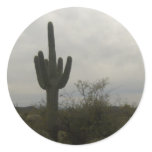 Cactus picture round sticker