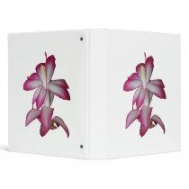 Cactus pink and white flower, succulent bloom binders