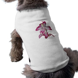 Cactus pink and white flower, succulent bloom petshirt