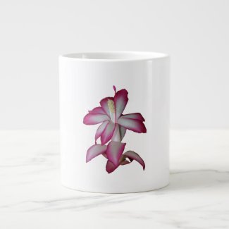 Cactus pink and white flower, succulent bloom specialtymug