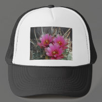 cactus pink flowers hats