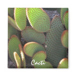 Cactus Plant Magnet