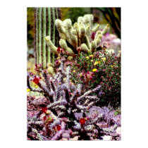 cactus plants posters