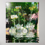 Cactus Pond  Poster
