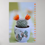 Cactus poster