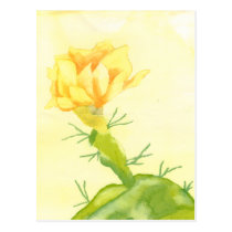 Cactus Rose Postcard postcards