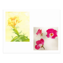 Cactus Rose & Red Roses Postcard postcards