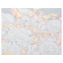 Cactus scarlet ball  flowers letterhead design