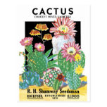 Cactus Seed Package Post Cards