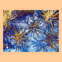 Cactus Spikes posters
