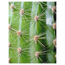 Cactus Spines Closeup Personalized Flyer