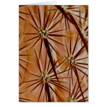 Cactus Spines Greeting Card