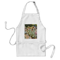 Cactus Spines Thorns Cacti aprons