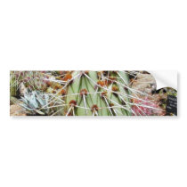 Cactus Spines Thorns Cacti bumper stickers