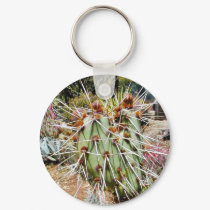 Cactus Spines Thorns Cacti keychains