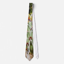 Cactus Spines Thorns Cacti ties