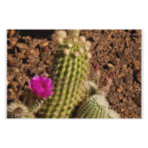 Cactus stationary customized stationery