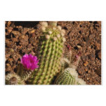 Cactus stationary customized stationery