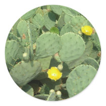 Cactus Sticker