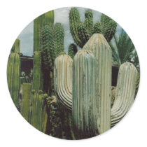 Cactus Round Stickers