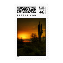 Cactus Sunrise Postage Stamp