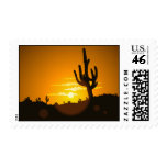 Cactus Sunset - Stamp