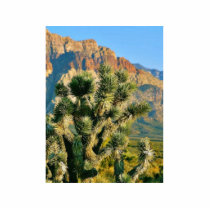 Cactus Tree photo sculptures