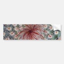 Cactus's spiky center bumper sticker