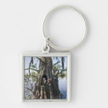 Caddo Lake, hunting blind Key Chain