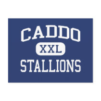 Caddo Stallions Middle Shreveport Louisiana Postcards