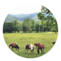 Cade's Cove Round Stickers