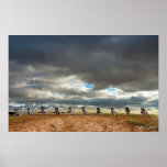 Cadillac Ranch I Print