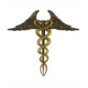 Caduceus Brown/Gold t-shirts