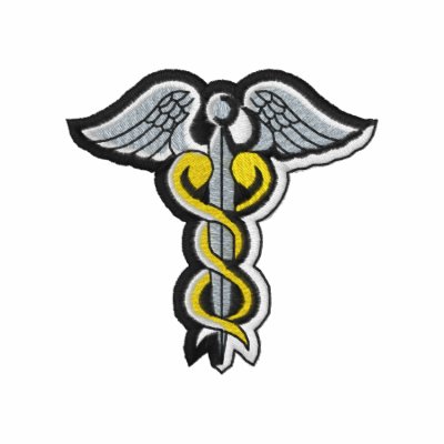 Caduceus Embroidered Hoodie