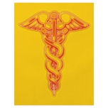 Caduceus Full Color Flyer