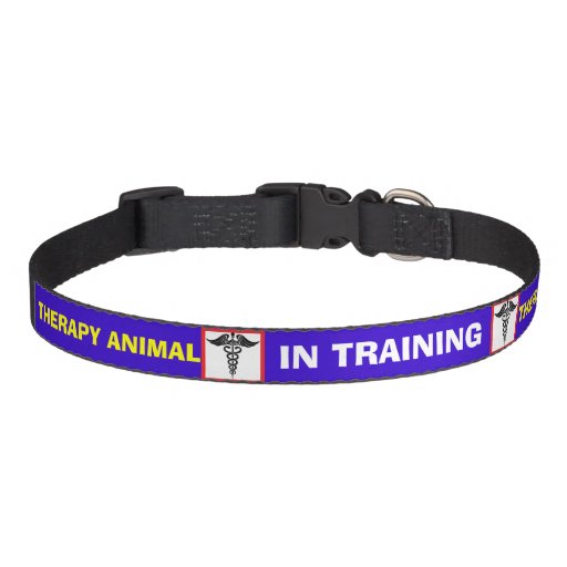 Caduceus IN TRAINING THERAPY Animal Dog Collar Zazzle