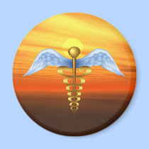 Caduceus magnets