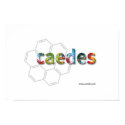 Caedes.net Logo posters