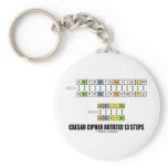 Caesar Cipher Rotated 13 Steps (Cryptography) Key Chain