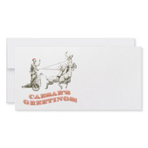 CAESARS Greetings Picture Card