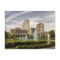 Caesars Palace Las Vegas Photo Postcard