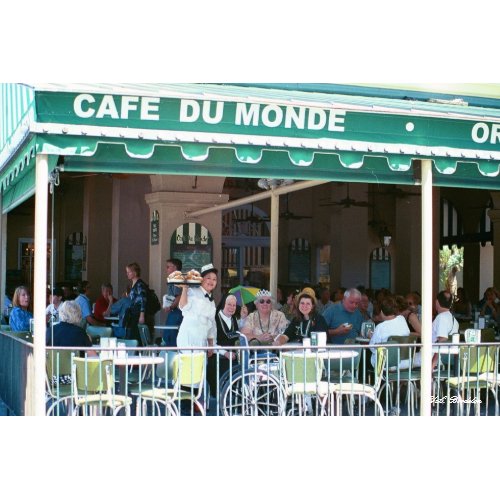 Cafe Du Monde Fun print