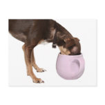 chihuahua, pet, dog, canine, animal, cup, mug,
