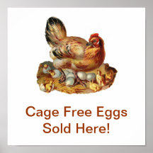Cage Free Eggs Sold Here Poster