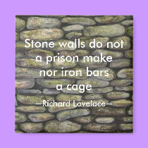 Cages - magnet magnets