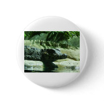 caiman alligator buttons by pinkypetals caiman alligator buttons