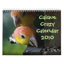 Caique Calendar 2010 by caiquecrazy Caique Calendar 2010