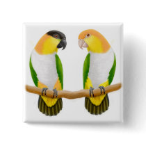 Caique Friends Pin buttons by twopurringcats Caique Friends Pin buttons
